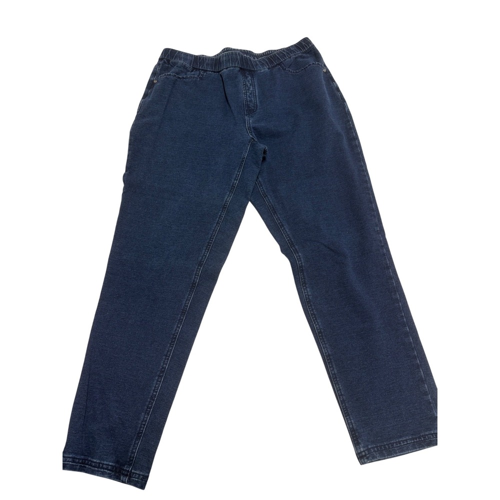 D&Co., Blue Denim Wash Pull-On Jeggings, Women's‎ Plus Size 14